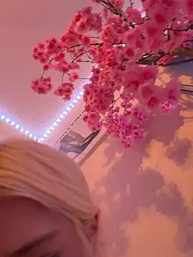 Terribletabby webcam