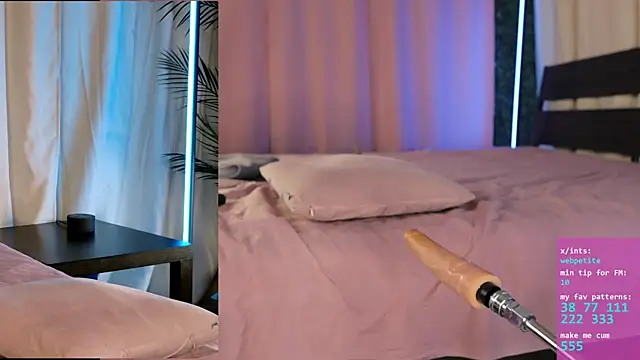 webpetite webcam