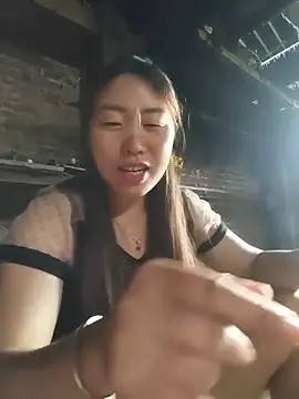 he-se-kin webcam