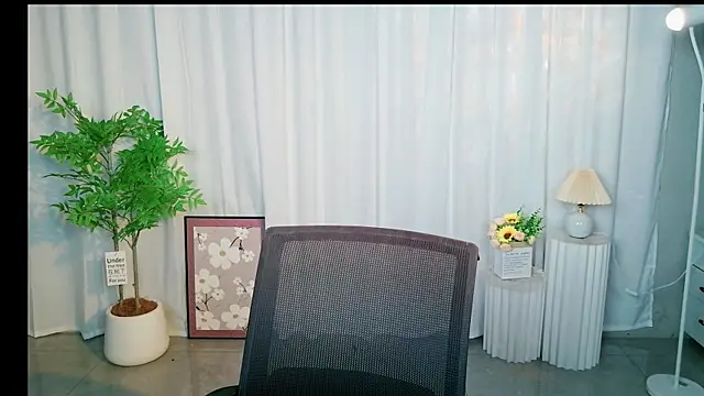 MO-001 webcam