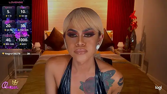 StellaStrong30 webcam