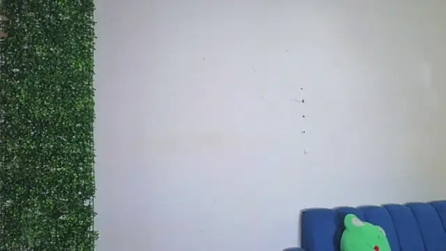 Demitryo webcam
