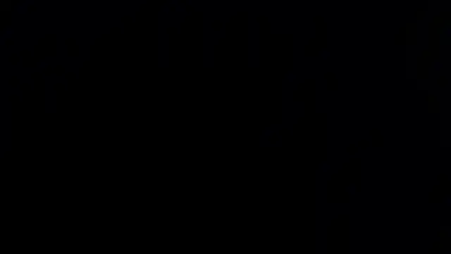 robin_nj webcam