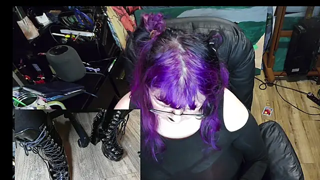 Sinstresshemlock webcam