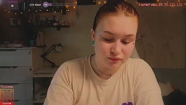 Link_OR webcam