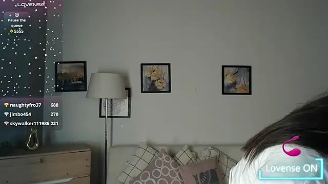 Cloee_dss webcam