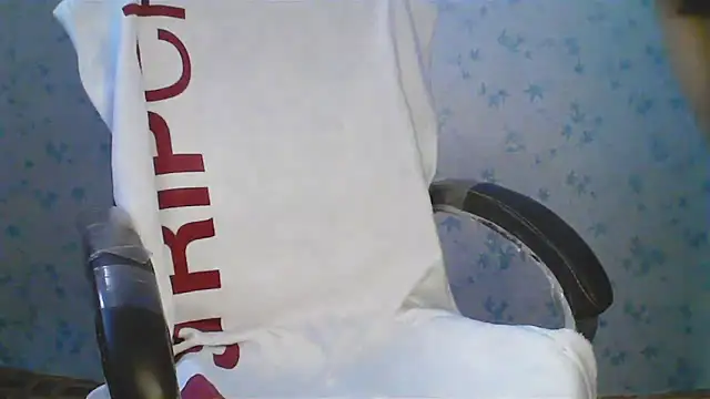collage_hoty webcam