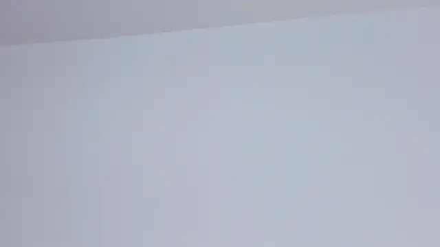 Brandy_brown_ webcam