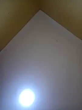 Miss_lisa- webcam