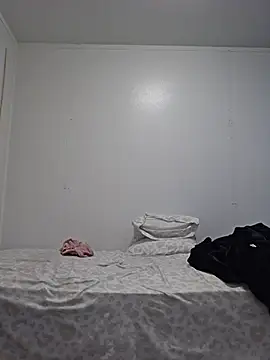 Edw95S webcam