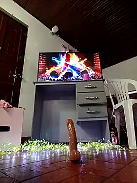 TRANS_COLOMBIA webcam