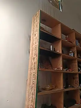 risky_women's live room
