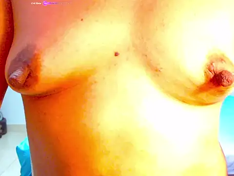 Roseluxs webcam