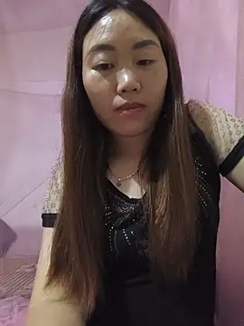 he-se-kin webcam