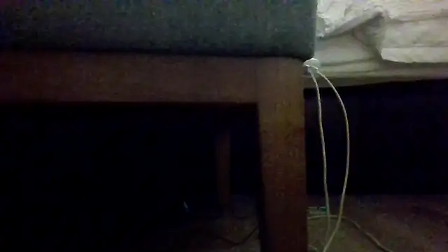 Dicksee_Left webcam