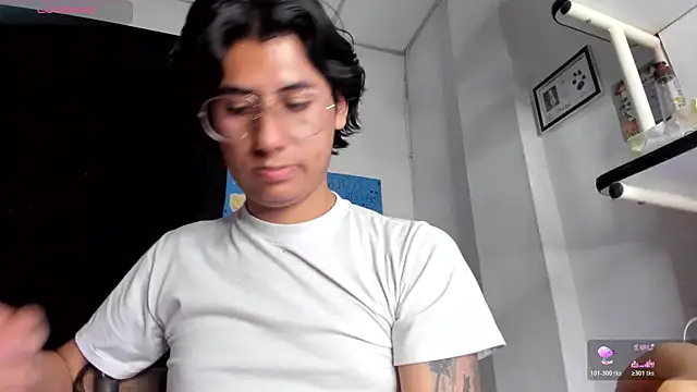 Ericef webcam