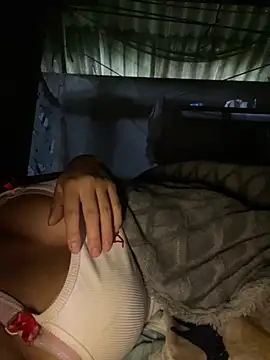 Toiyeuanh webcam