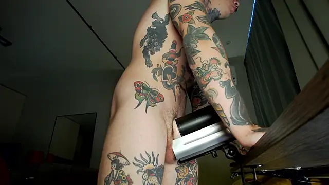 Tommy_cat webcam