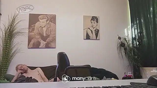 der_dino30 webcam