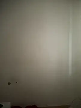 Sollybunny live cam on StripChat