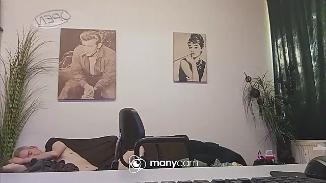 der_dino30 webcam