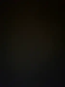 TheDime webcam
