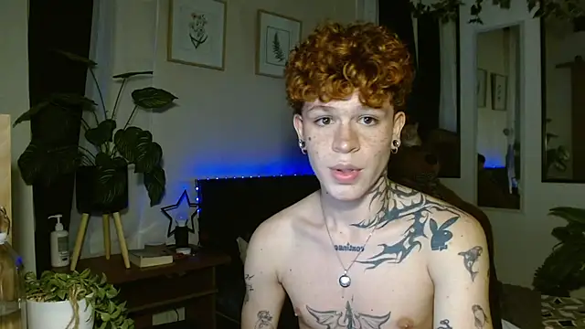 andrewWolffman webcam