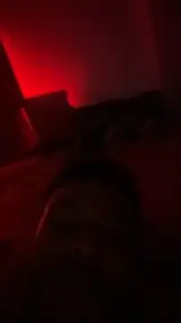 DarkMuscleBoyX webcam