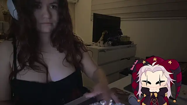 Piolapk webcam
