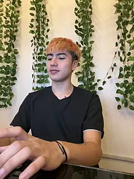 AlexanderCollman2 webcam
