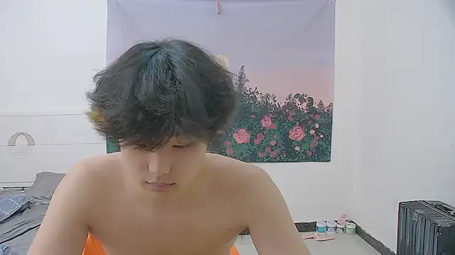 icecream-002 webcam