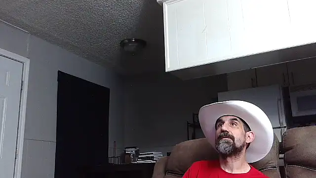 old_Domino webcam