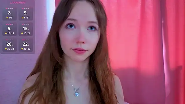 SugarTouch webcam