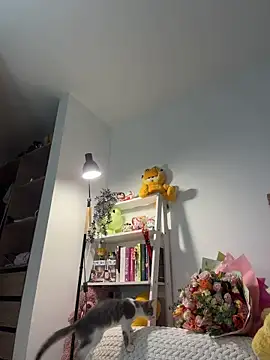Your_Honeey webcam