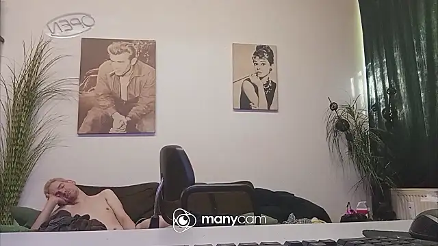 der_dino30 webcam
