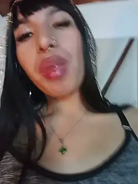 MeelFox webcam