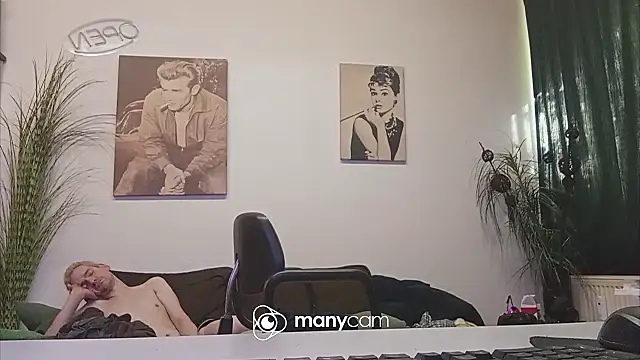 der_dino30 webcam