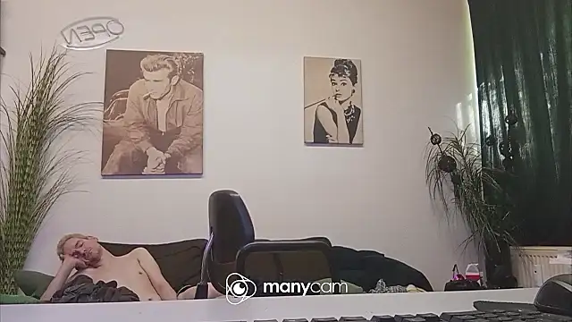der_dino30 webcam