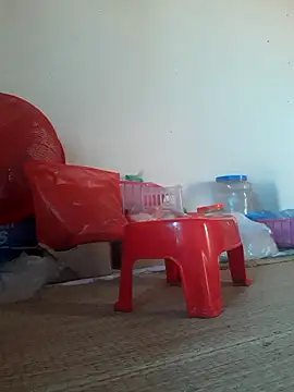 -Tara-a webcam