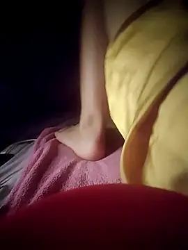 -Tara-a webcam