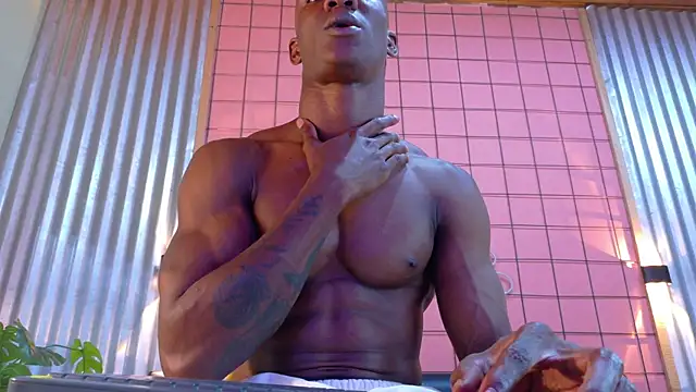 martin_killer webcam