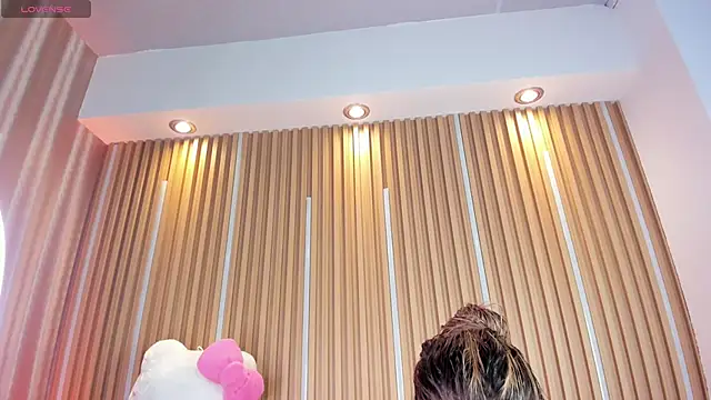 1Sloppy_Fox4 webcam