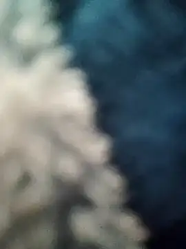 naughtyandhairy (M young) - buy a dildo