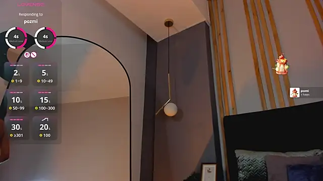 evazul webcam