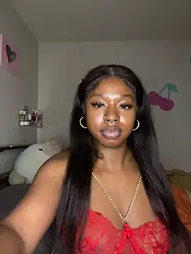 TinyBlazian901 webcam