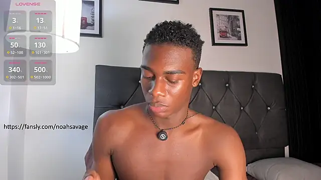 noah_johes webcam