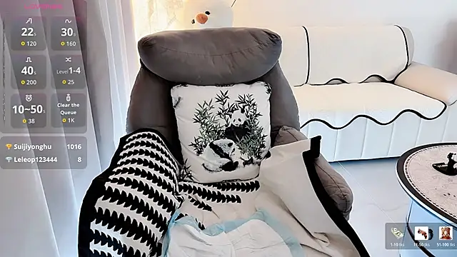 BB-A webcam