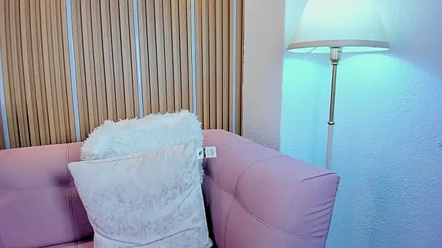 1Sloppy_Fox4 webcam
