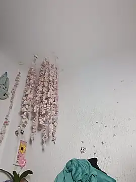 Kuutar webcam