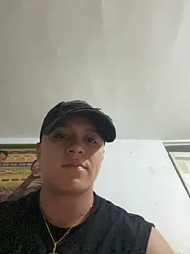 alpha_atlas webcam